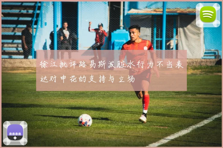 徐江批评路易斯泼脏水行为不当表达对申花的支持与立场