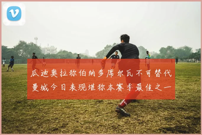 瓜迪奥拉称伯纳多席尔瓦不可替代曼城今日表现堪称本赛季最佳之一